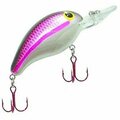 Bandit 2 in. & 0.375 oz DR Grenada Shad Fishing Lure BDT3D46